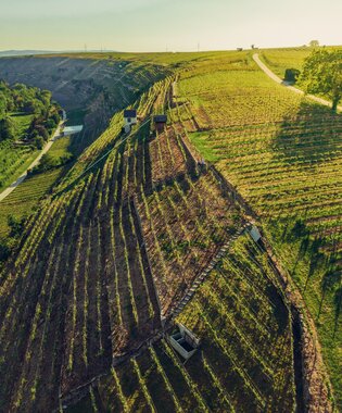 Lauffen am Neckar, Neckartal, HeilbronnerLand, Baden-Württemberg, Deutschland, Chris Frumolt Mai 2021, Katzenbeißer-Steillagen, Steillagen-Areal, Württemberg, Weinlandschaft