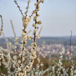 © all copyrights by www.ch-ernst.de