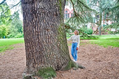 Schlossgarten in Weinheim, Baden-Württemberg, Deutschland | © (c)floriantrykowski.de