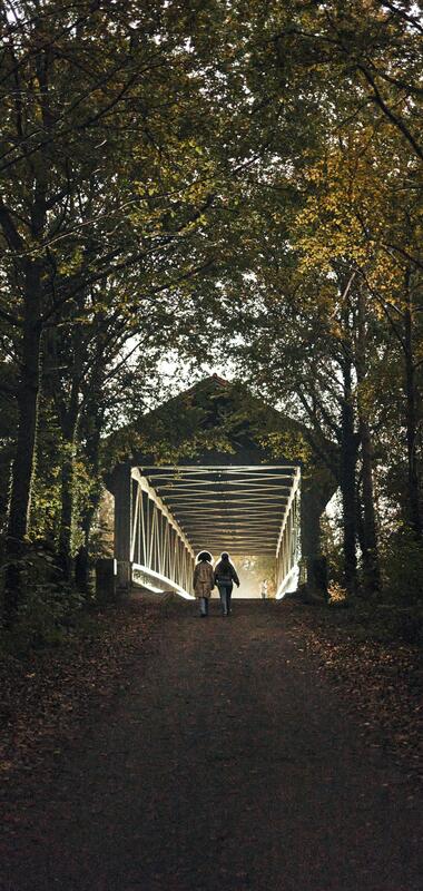 Wandern, spazieren gehen am Alten Rhein im Herbst
Baden-Württemberg, Deutschland,