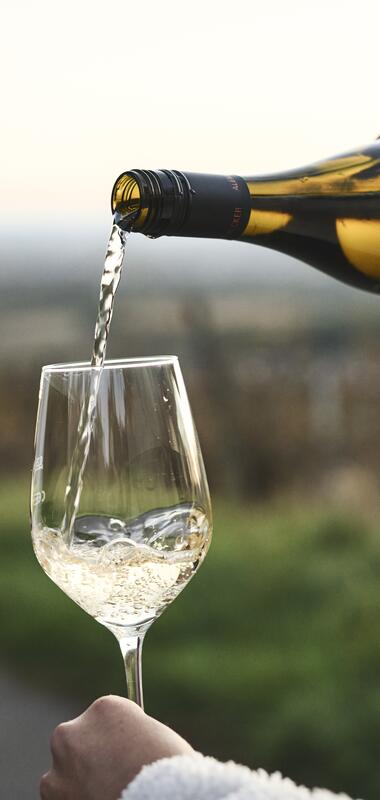 Wandern in den Weinbergen von Malsch, Rhein-Neckar, Letzenberg, Baden Württemberg, Deutschland