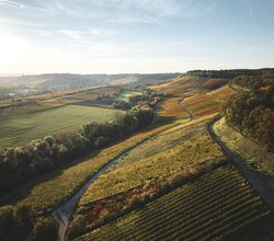 Weinlandschaft im Zabergäu - Naturpark Stromberg-Heuchelberg im HeilbronnerLand, Baden-Württemberg, Deutschland
Brackenheim
