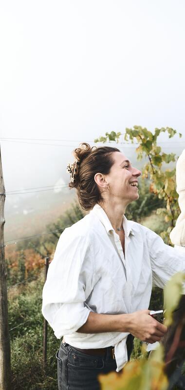 Weingut Roterfaden in Rosswag, Kraichgau-Stromberg, Baden Württemberg, Deutschland