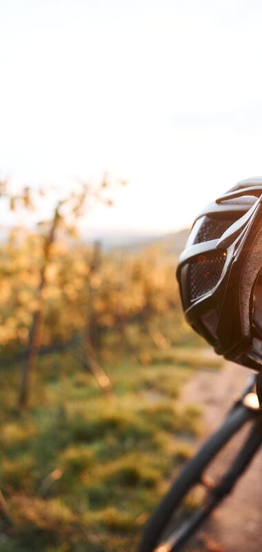Radfahren im Herbst - Weinradwege HeilbronnerLand | Brackenheim, Naturpark Stromberg-Heuchelberg, Baden-Württemberg, Deutschland