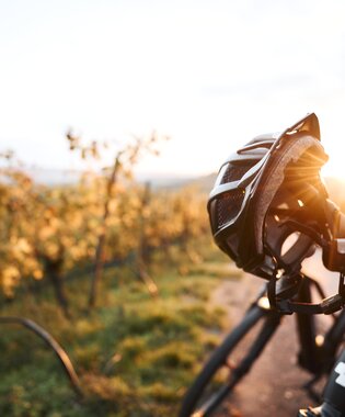 Radfahren im Herbst - Weinradwege HeilbronnerLand | Brackenheim, Naturpark Stromberg-Heuchelberg, Baden-Württemberg, Deutschland