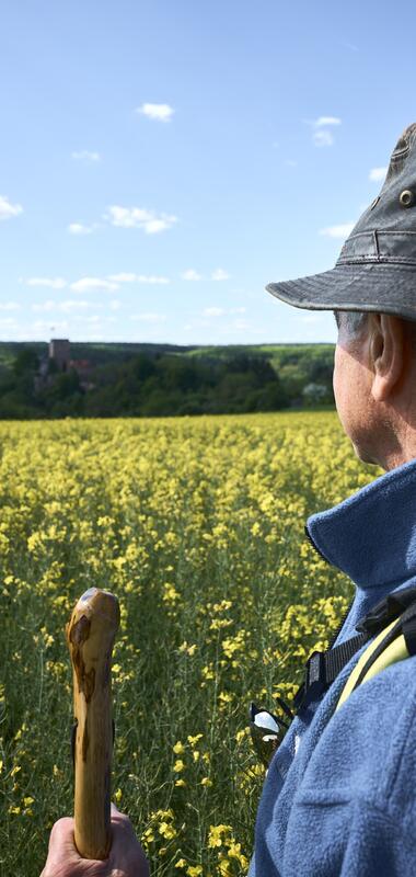 Gamburg im Taubertal, Baden-Württemberg, Deutschland