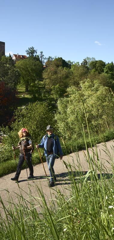 Gamburg im Taubertal, Baden-Württemberg, Deutschland