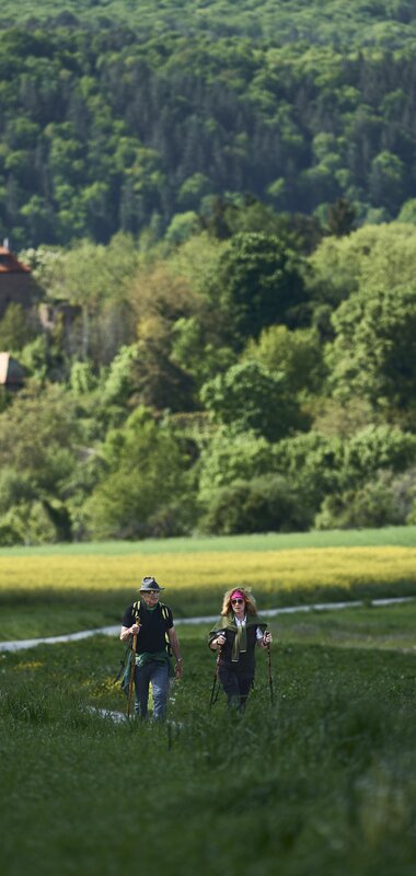 Gamburg im Taubertal, Baden-Württemberg, Deutschland | © Stefan Leitner