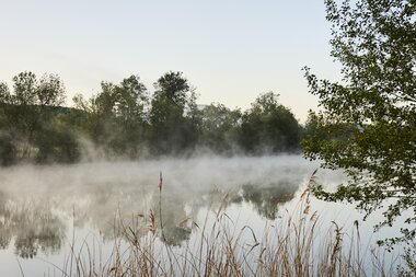 Camping AZUR in Wertheim im Taubertal, Baden-Württemberg, Deutschland | © Stefan Leitner