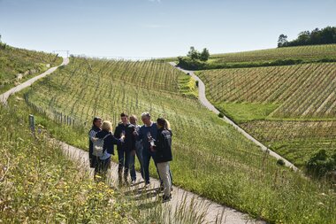 Beckstein im Taubertal, Baden-Württemberg, Deutschland
Weingenuss in Beckstein im Taubertal, Baden-Württemberg, Deutschland
Weingenuss in Beckstein im Taubertal, Baden-Württemberg, Deutschland
Beckstein im Taubertal, Baden-Württemberg, Deutschland
Weingenuss in Beckstein im Taubertal, Baden-Württemberg, Deutschland
Beckstein im Taubertal, Baden-Württemberg, Deutschland
Weingenuss in Beckstein im Taubertal, Baden-Württemberg, Deutschland | © Stefan Leitner