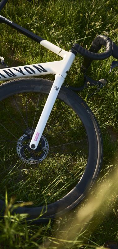 Schwetzingen, Rhein-Neckar, Baden-Württemberg, Deutschland