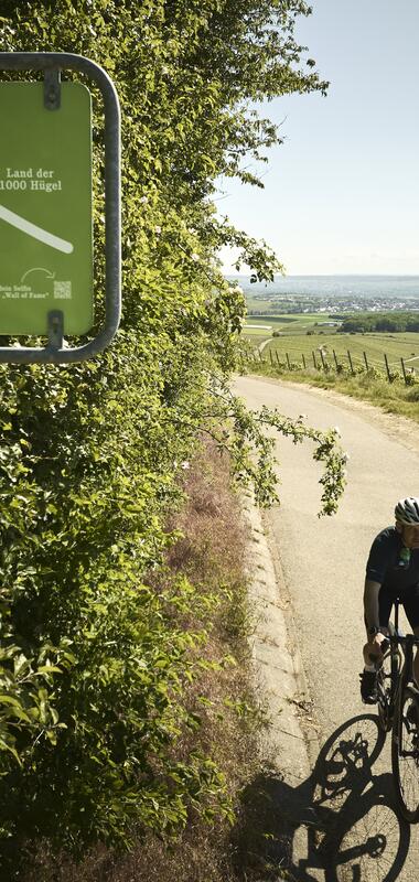 Am Heuchelberg, Kraichgau-Stromberg, Baden-Württemberg im Deutschland