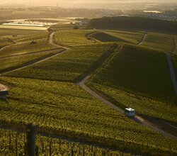 Am Heuchelberg, Kraichgau-Stromberg, Baden-Württemberg im Deutschland | © Stefan Leitner