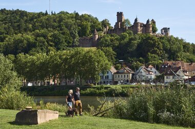 Spazieren am Main mit Hund, Taubertal, Baden-Württemberg, Deutschland | © Stefan Leitner
