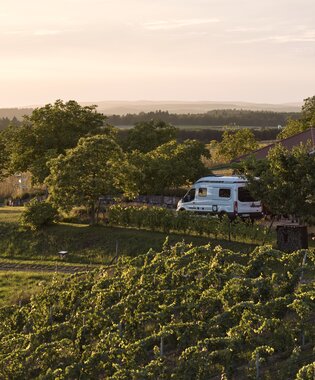 Weingut Schlör in Reicholzheim, Taubertal, Baden-Württemberg, Deutschland