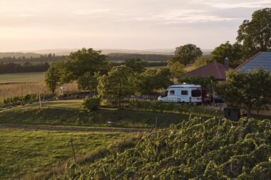 Weingut Schlör in Reicholzheim, Taubertal, Baden-Württemberg, Deutschland