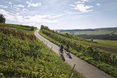 Radfahren im Weinberg in Külsheim, Taubertal, Baden-Württemberg, Deutschland