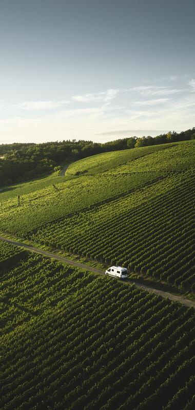 Mit dem Wohnmobil durch die Weinberge in Markelsheim, Taubertal, Baden-Württemberg, Deutschland