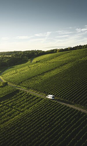 Mit dem Wohnmobil durch die Weinberge in Markelsheim, Taubertal, Baden-Württemberg, Deutschland