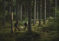 Burgruine Eberbach, Rhein-Neckar, Baden-Württemberg, Deutschland | © Stefan Leitner