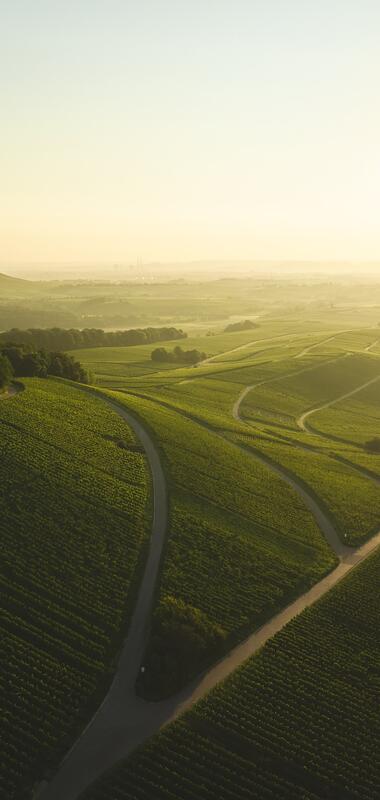 Brackenheim, Kraichgau-Stromberg, Baden-Württemberg, Deutschland