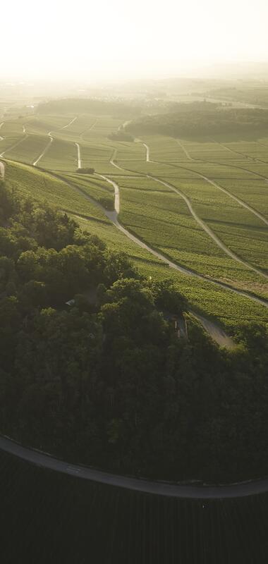 Brackenheim, Kraichgau-Stromberg, Baden-Württemberg, Deutschland