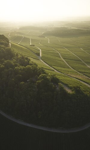 Brackenheim, Kraichgau-Stromberg, Baden-Württemberg, Deutschland