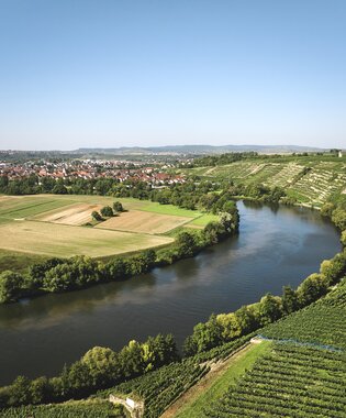Neckarschleife, Kirchheimer Weinterrasse, Kraichgau-Stromberg, Baden-Württemberg, Deutschland