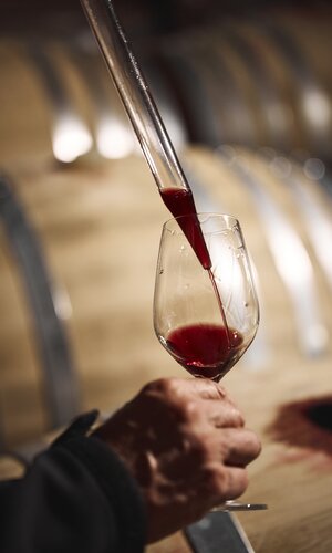 Weingut Schlör, Baden-Württemberg, Deutschland | © Stefan Leitner