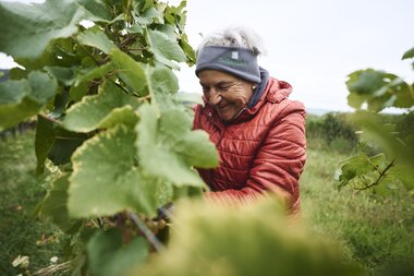 Weingut Ehrmann, Baden-Württemberg, Deutschland | © Stefan Leitner