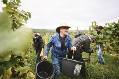 Weingut Ehrmann, Baden-Württemberg, Deutschland | © Stefan Leitner