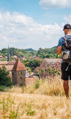 Saddle Stories war im Sommer 2025 auf dem Eppinger-Linien-Weg im Naturpark Stromberg-Heuchelberg unterwegs.