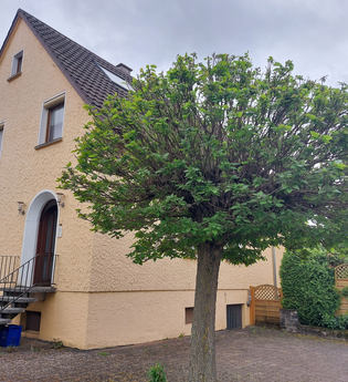 Am Stadtrand-Ferienwohnung in Sinsheim | © Scholl