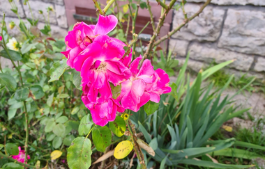 Beim Schloß Michel | © Mühling