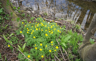 Ferienhof Ott im Rothenburger Land | © Unbekannt