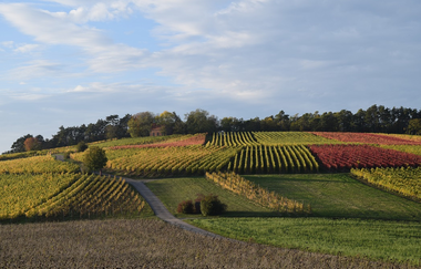 Ferienwohnung auf dem Dorf | © Unbekannt