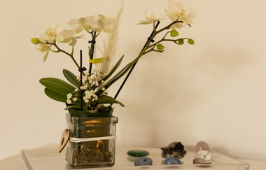 Pflanze mit weißen Blüten und noch geschlossenen Knospen | © Neckar-Zaber-Tourismus e.V.