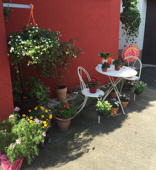 Außen | Ferienwohnung Städtle | Lauffen am Neckar | © Neckar-Zaber-Tourismus e.V.