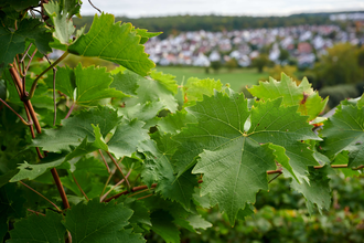 Ferienwohnung "Zur Schlafmütze" | © Kraichgau-Stromberg Tourismus e.V.
