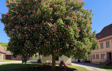 Ferienwohnungen - Gutshof Dürrhof | © Clara Steuer