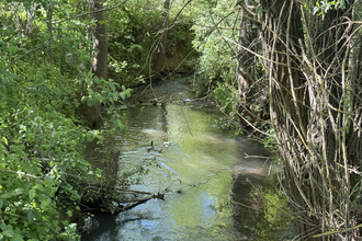 Ferienwohnungen Auszeit Taubertal | © Petra Amann-Klärle
