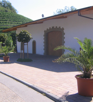 Außenansicht: weißes Gebäude und  große braune Tür