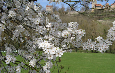 HERRNMÜHLE - Pension & Ferienwohnungen | © Pension Herrnmühle