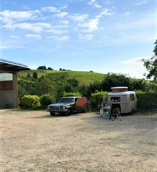 Ökologischer Land- & Weinbau Seitz | © Liebliches Taubertal