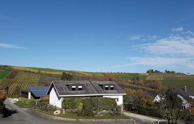 Ökologischer Land- & Weinbau Seitz | © Liebliches Taubertal