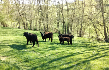 Relaxen im Taubertal | © Unbekannt