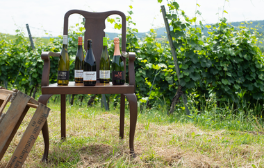 Stellplatz auf dem Weingut GravinO | © Land der 1000 Hügel - Kraichgau-Stromberg
