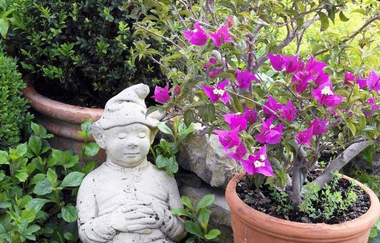 Taubertal-Ferien.de - Exklusive Ferienwohnung | © Unbekannt