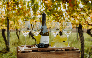Vier leere Weingläser und eine Weinflasche auf einer Holzkiste mit Weinreben im Hintergrund. | © Weingut Becker, Malsch