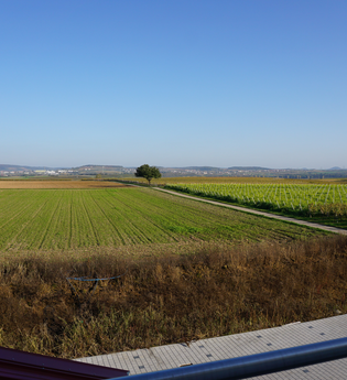 Balkon Aussicht FeWo 3 Terrassenlage, Weingut Schaaf Lauffen | © Neckar-Zaber-Tourismus
